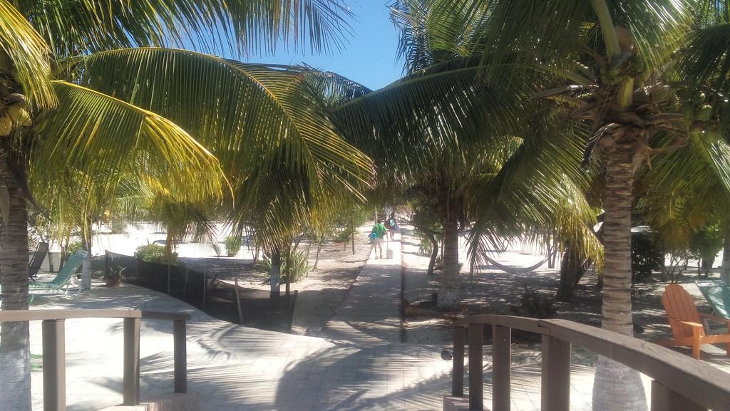 Hotel & Villas Playa Maya Resorts Celestun Exterior foto